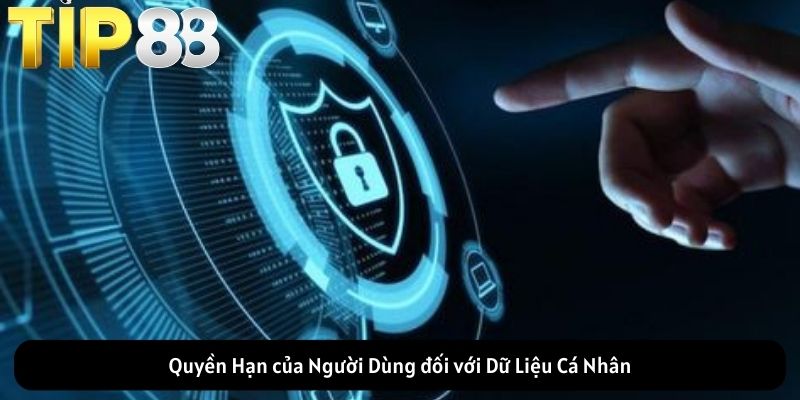 Quyền Hạn của Người Dùng đối với Dữ Liệu Cá Nhân