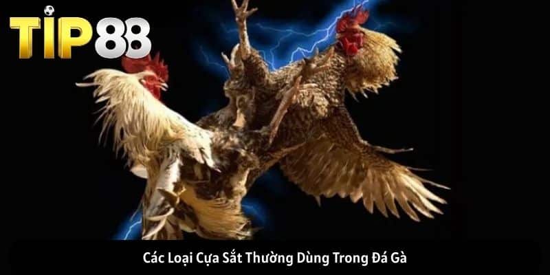 Các Loại Cựa Sắt Thường Dùng Trong Đá Gà