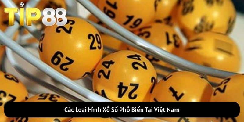 Các Loại Hình Xổ Số Phổ Biến Tại Việt Nam