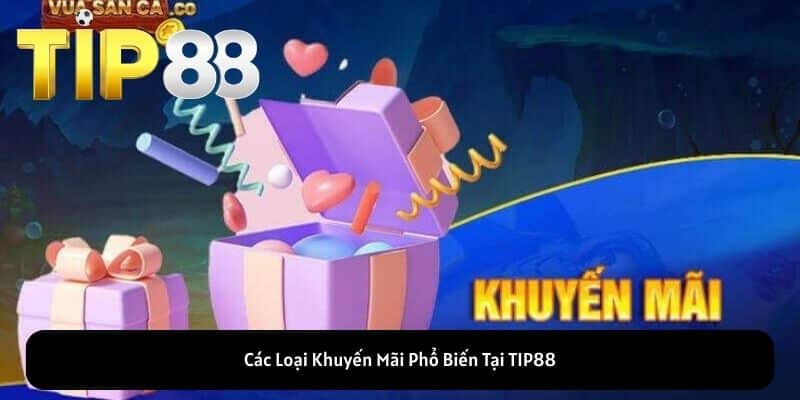 Các Loại Khuyến Mãi Phổ Biến Tại TIP88