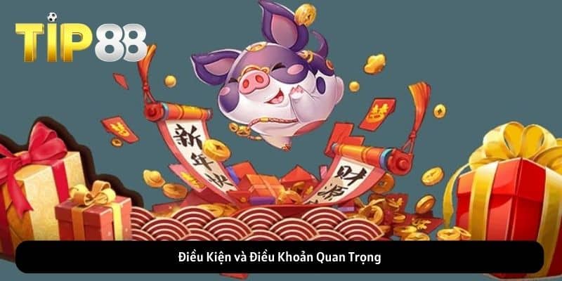 Điều Kiện và Điều Khoản Quan Trọng