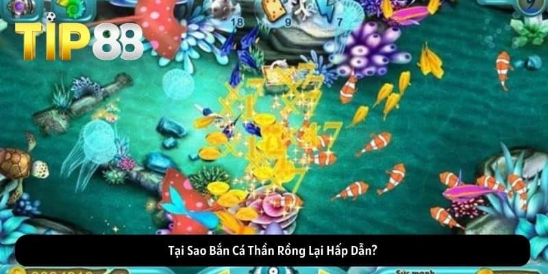 Tại Sao Bắn Cá Thần Rồng Lại Hấp Dẫn?