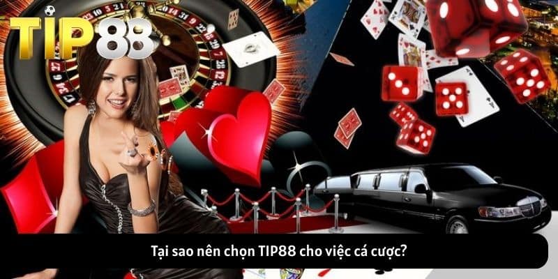 Tại sao nên chọn TIP88 cho việc cá cược?